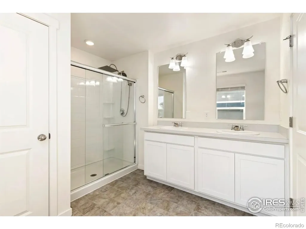 3713 Catmint Street Wellington CO 80549