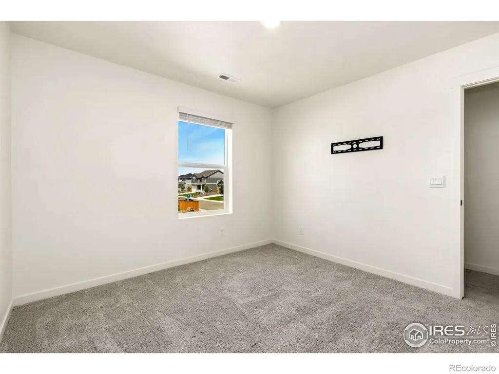 3713 Catmint Street Wellington CO 80549