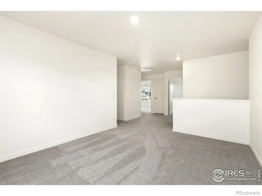 3713 Catmint Street Wellington CO 80549
