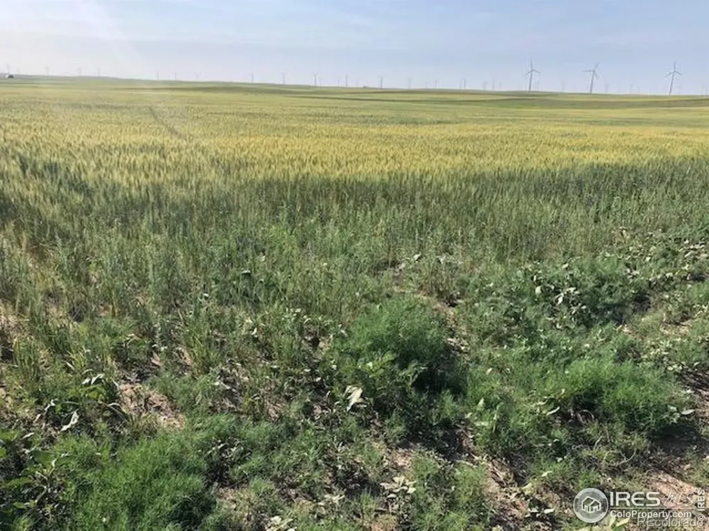 0 Cr 70 Briggsdale CO 80611