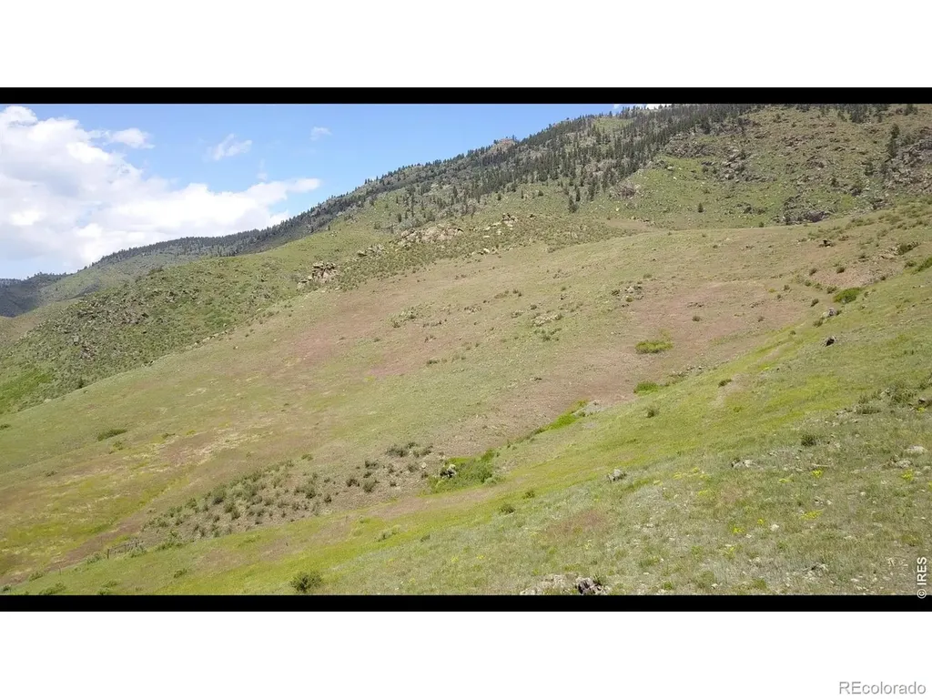 14750 Buckhorn Road Loveland CO 80538