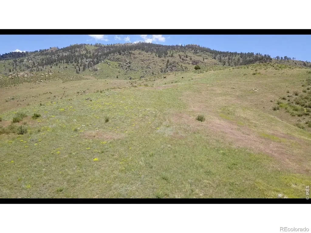 14750 Buckhorn Road Loveland CO 80538