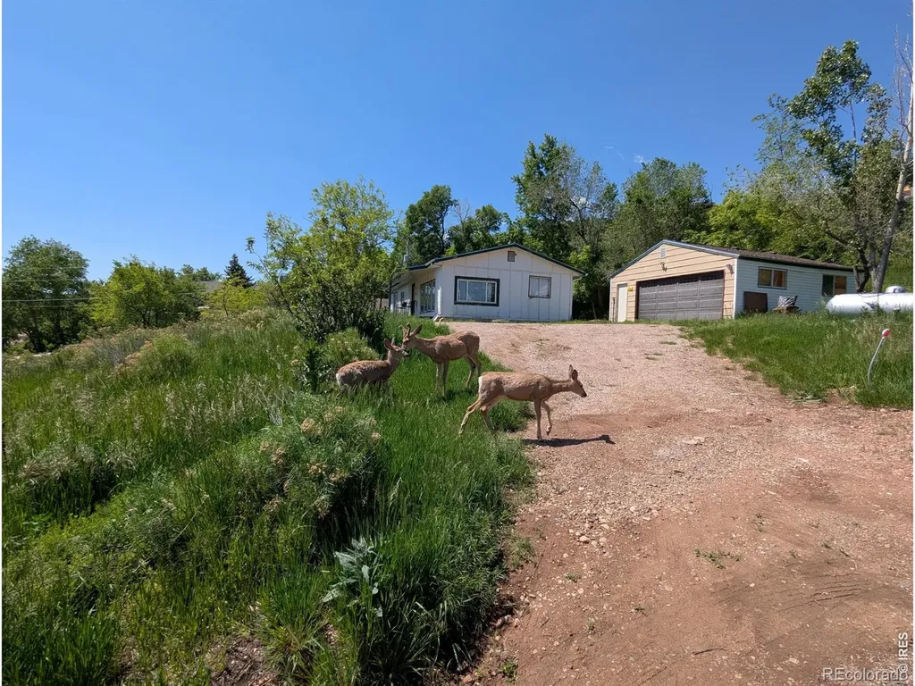 4809 Foothills Drive Fort Collins CO 80526