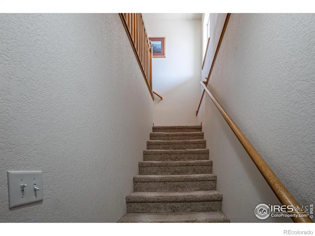631 Linecamp Drive Livermore CO 80536