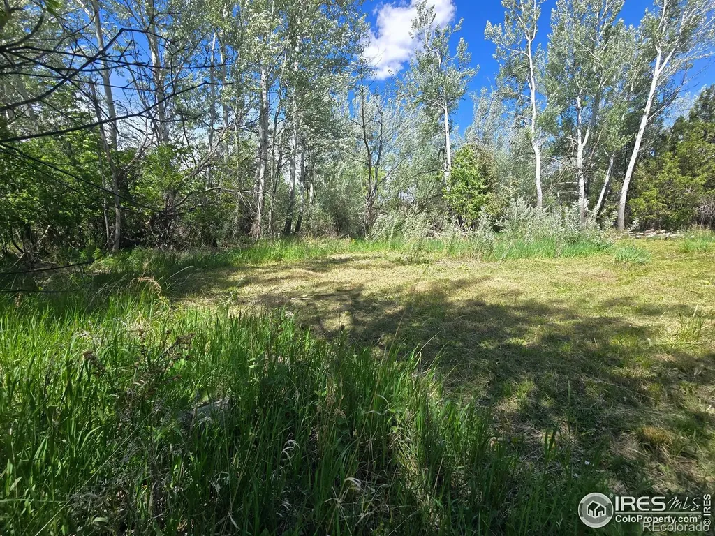 2001 W Prospect Road Fort Collins CO 80526