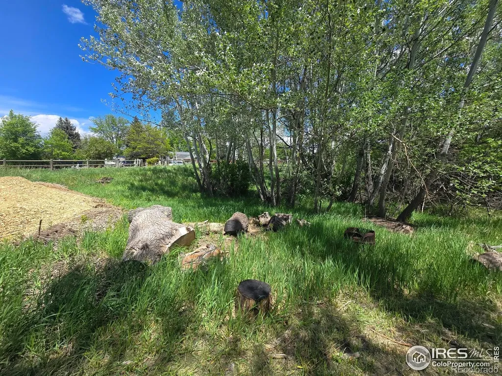2001 W Prospect Road Fort Collins CO 80526