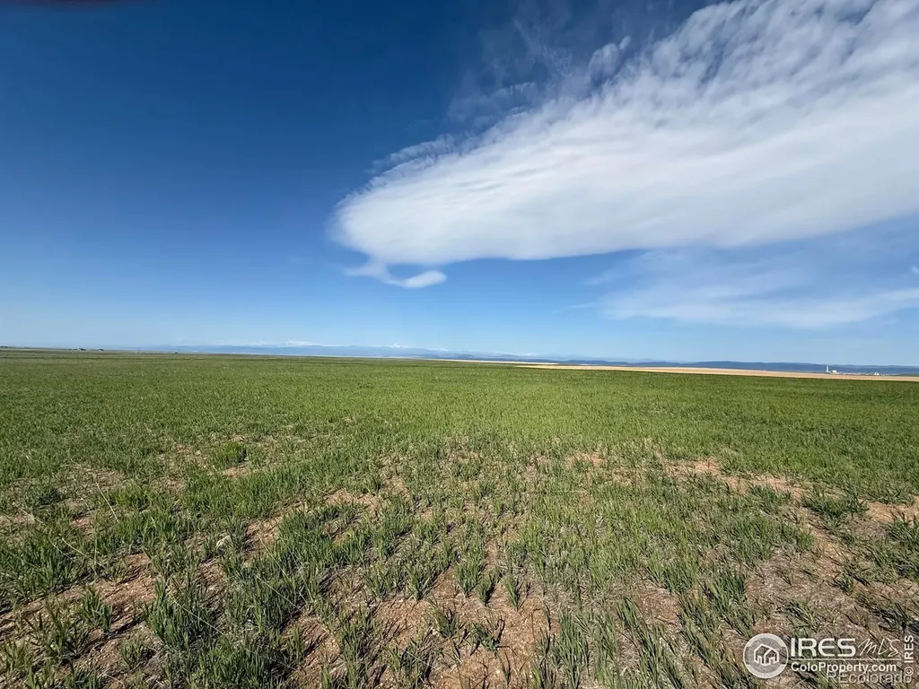 1 Tbd Ffd25-0005 Lota Co Road 15 Carr CO 80612