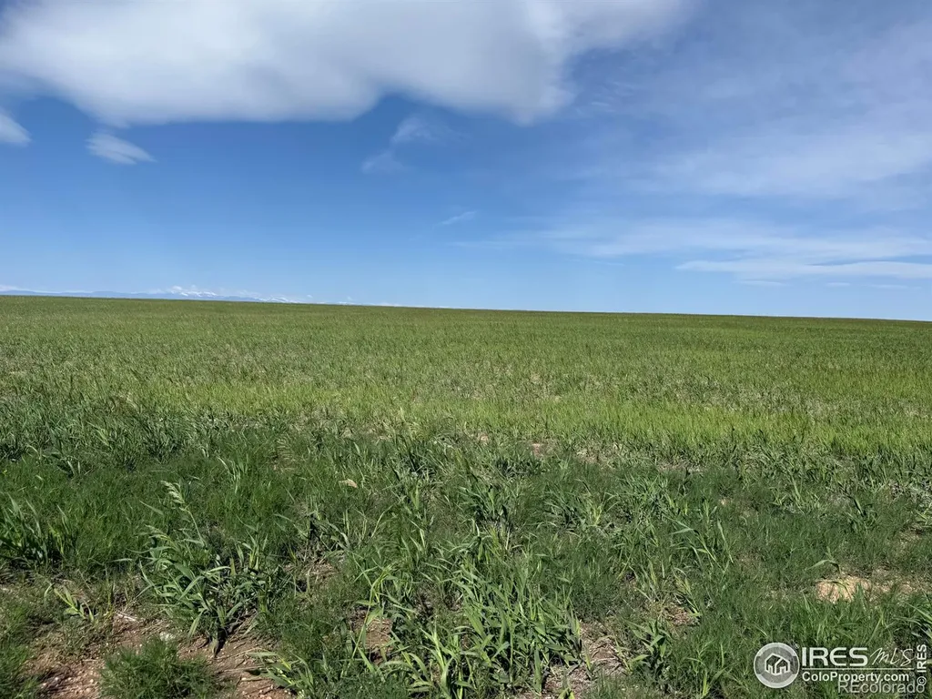 1 Tbd Ffd25-0005 Lota Co Road 15 Carr CO 80612