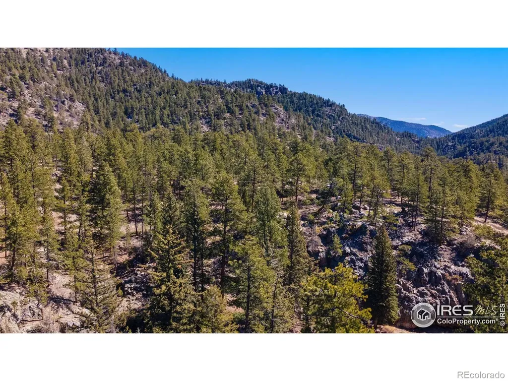 105 Fox Creek Road Glen Haven CO 80532
