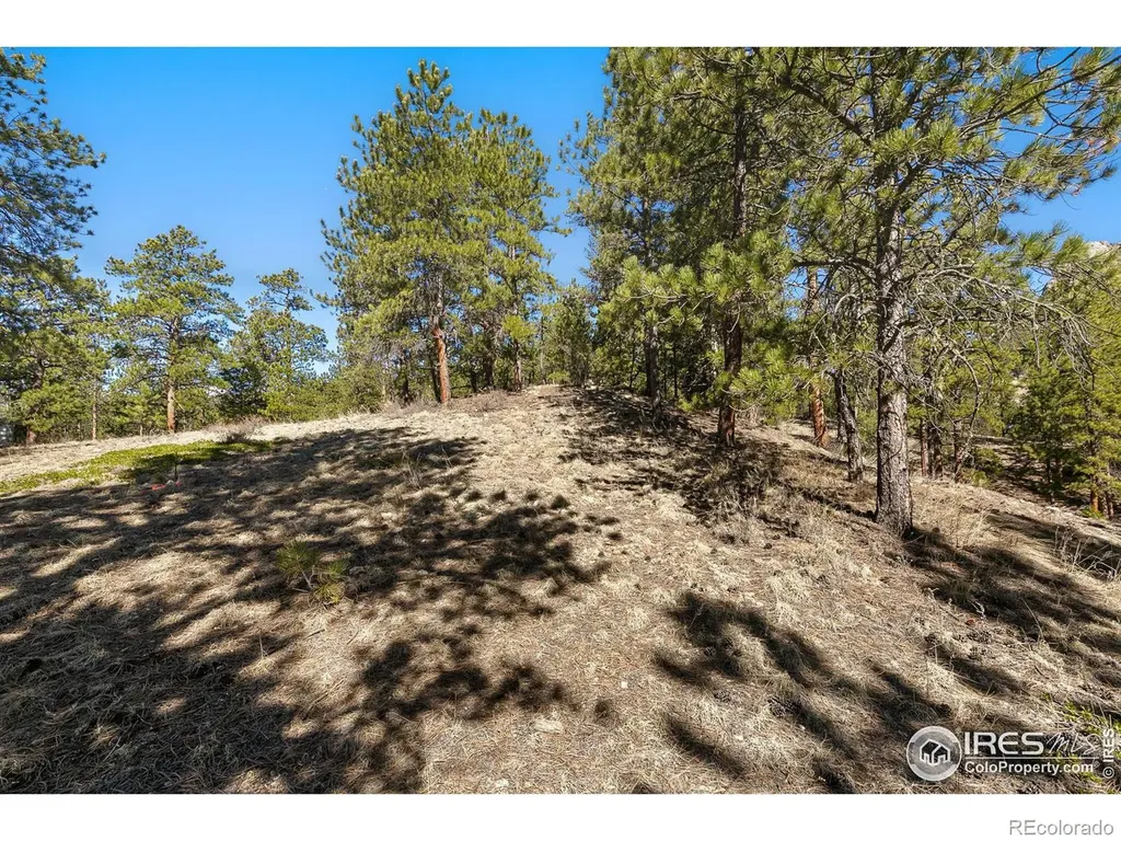105 Fox Creek Road Glen Haven CO 80532