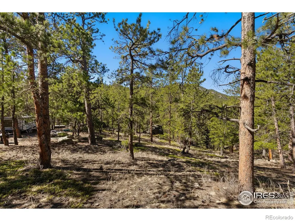 105 Fox Creek Road Glen Haven CO 80532