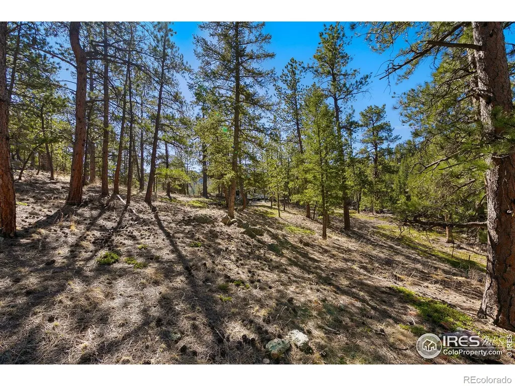 105 Fox Creek Road Glen Haven CO 80532