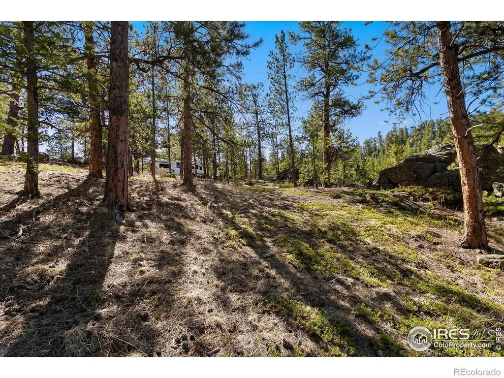 105 Fox Creek Road Glen Haven CO 80532