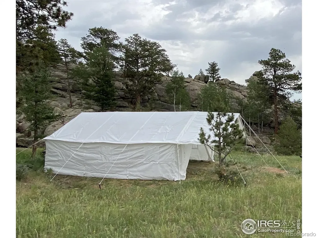 102 Mount Princeton Court Livermore CO 80536