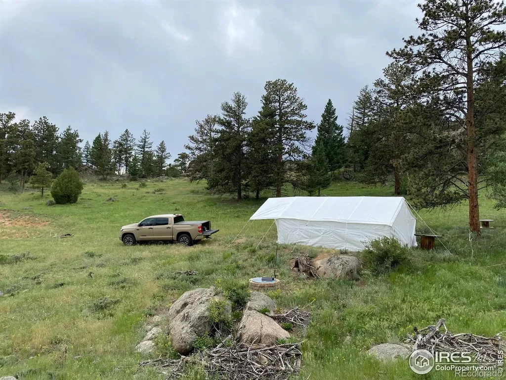 102 Mount Princeton Court Livermore CO 80536