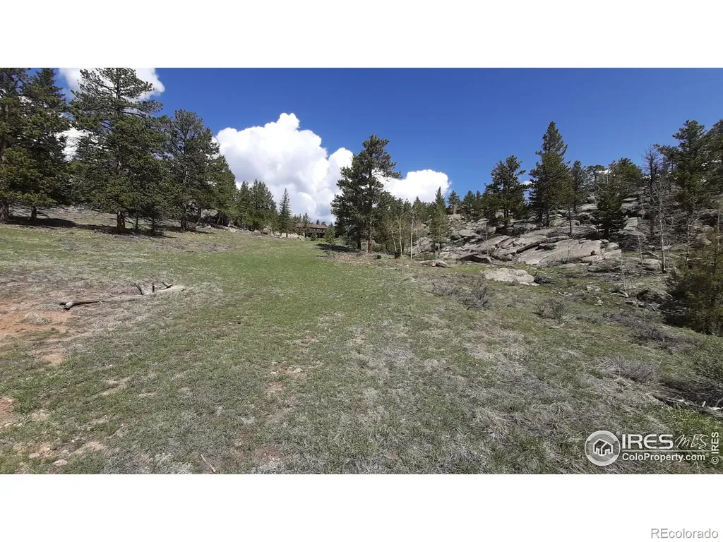 102 Mount Princeton Court Livermore CO 80536