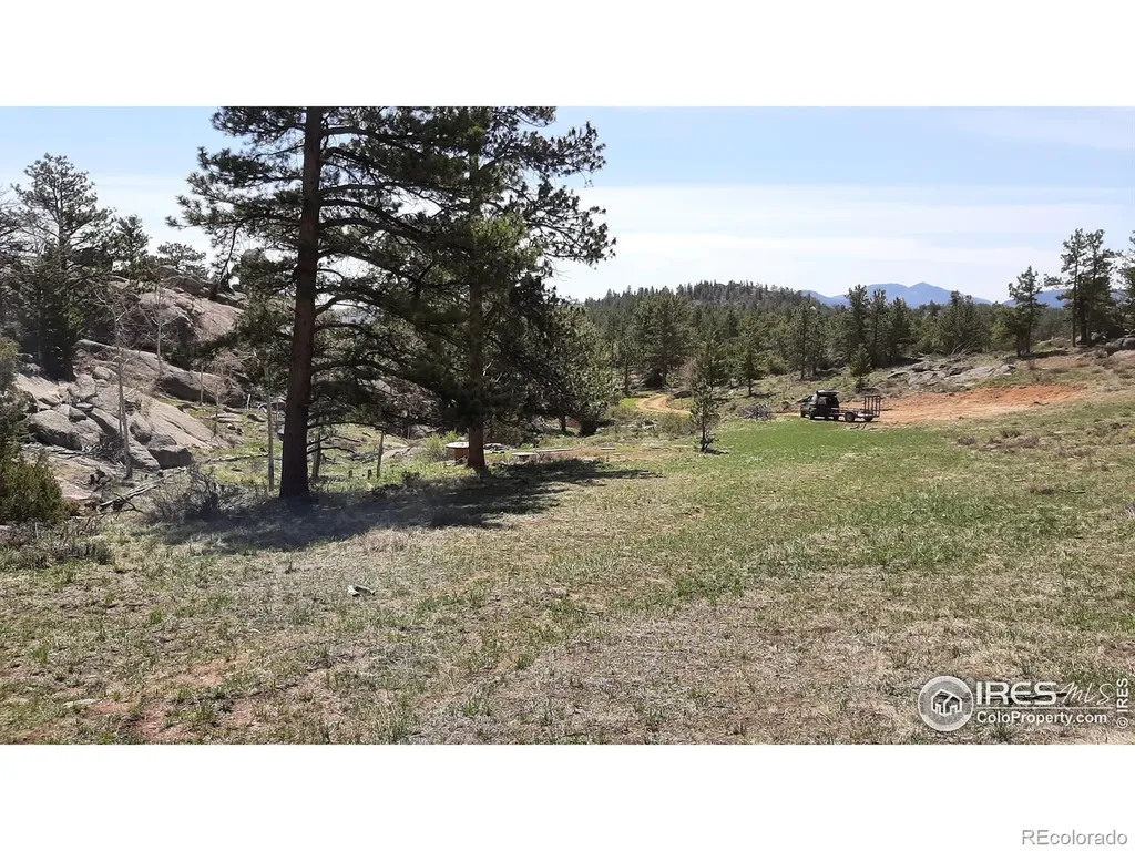 102 Mount Princeton Court Livermore CO 80536