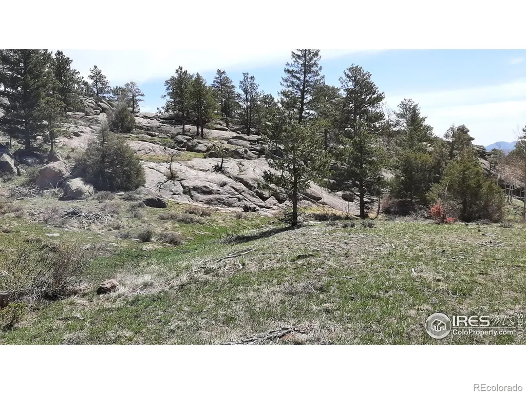 102 Mount Princeton Court Livermore CO 80536