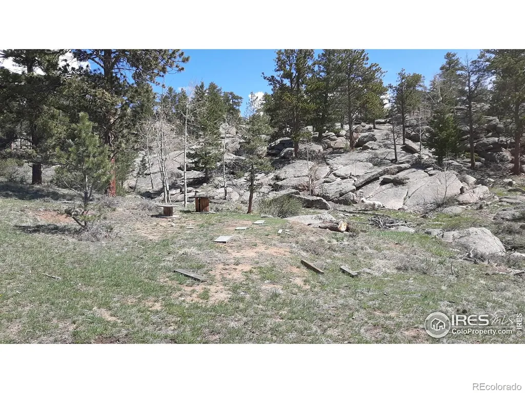 102 Mount Princeton Court Livermore CO 80536
