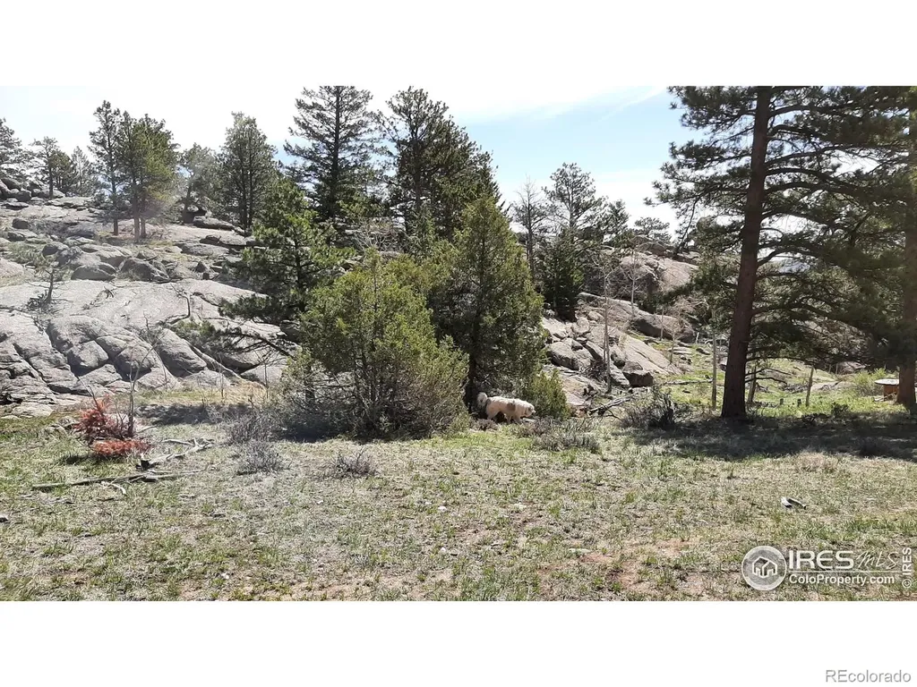 102 Mount Princeton Court Livermore CO 80536