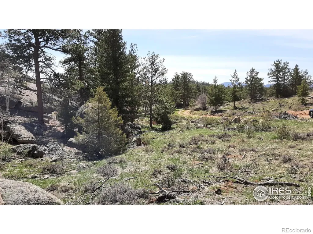102 Mount Princeton Court Livermore CO 80536