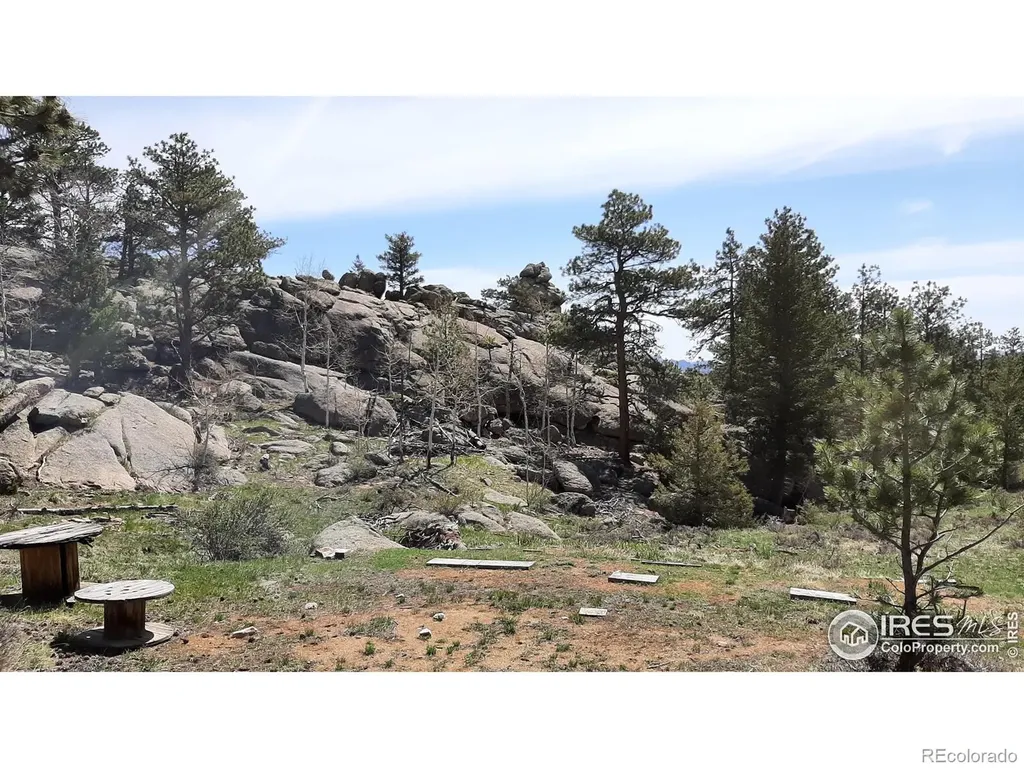 102 Mount Princeton Court Livermore CO 80536