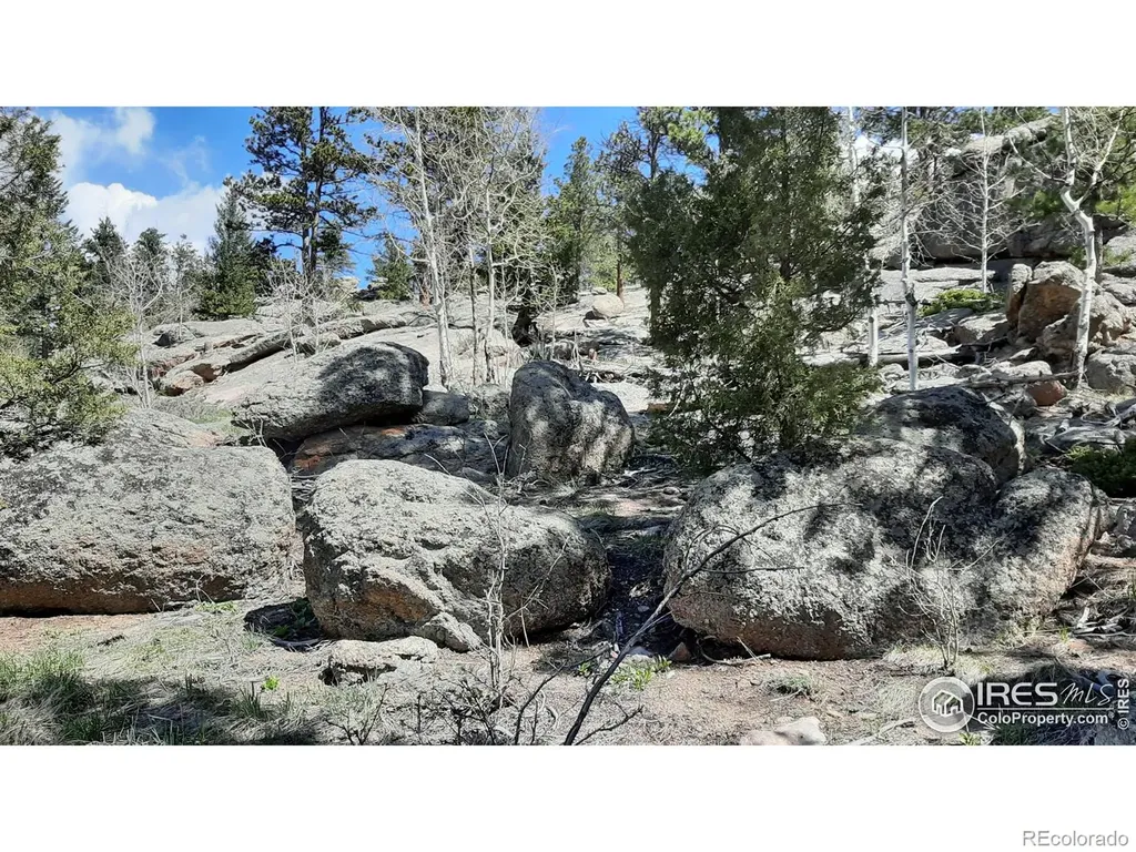 102 Mount Princeton Court Livermore CO 80536