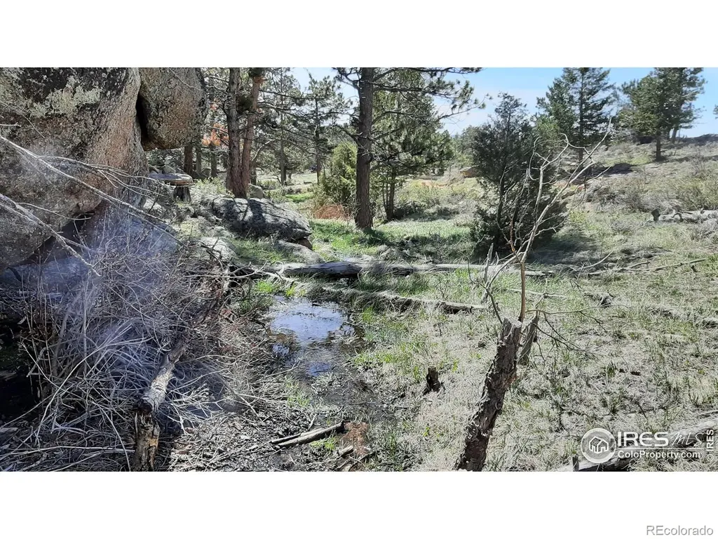 102 Mount Princeton Court Livermore CO 80536