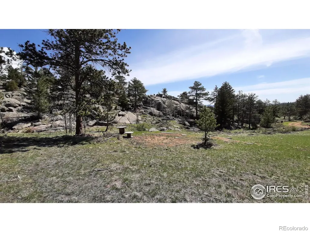 102 Mount Princeton Court Livermore CO 80536