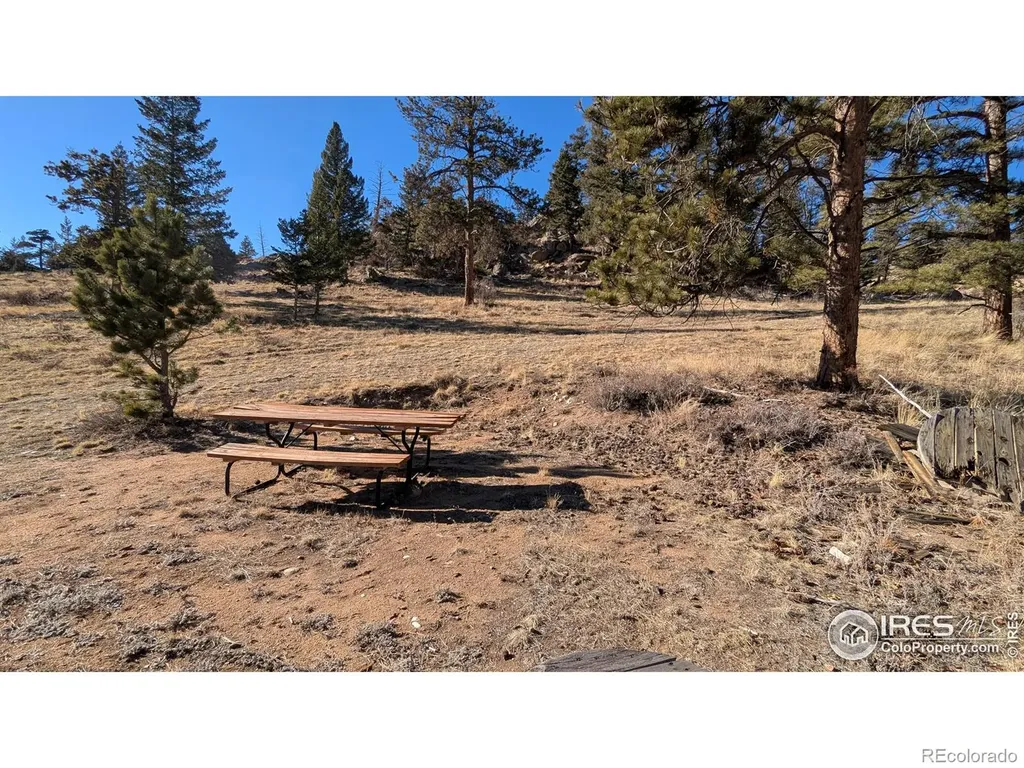 102 Mount Princeton Court Livermore CO 80536