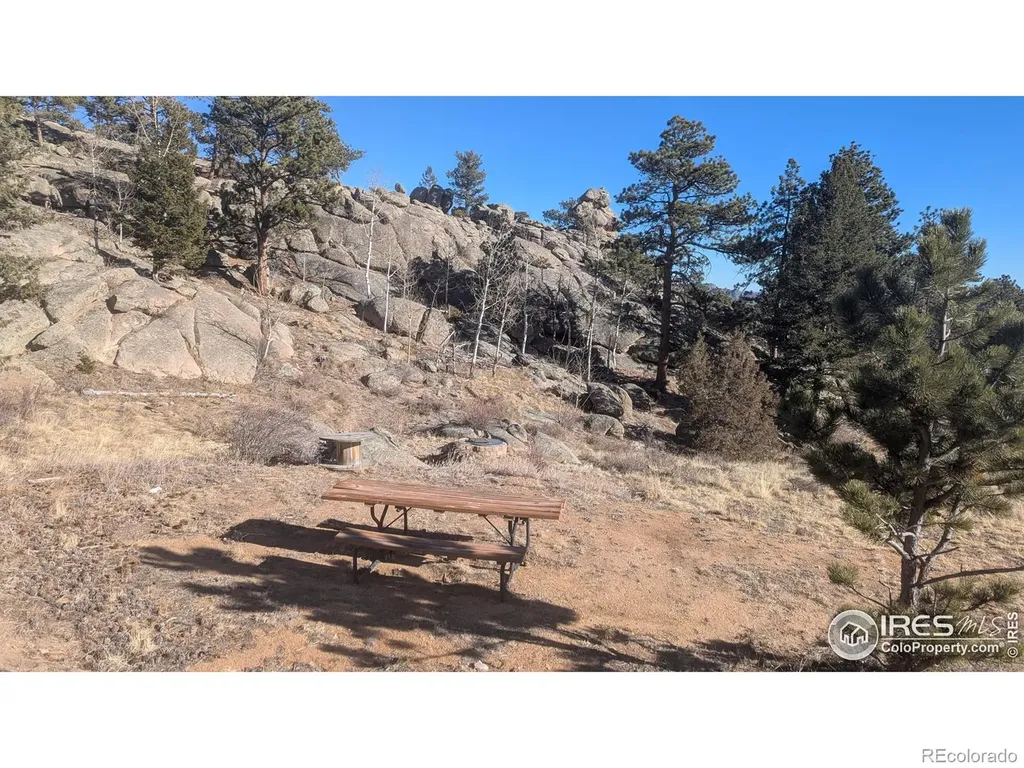 102 Mount Princeton Court Livermore CO 80536