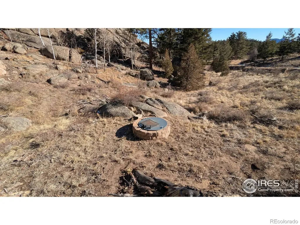 102 Mount Princeton Court Livermore CO 80536
