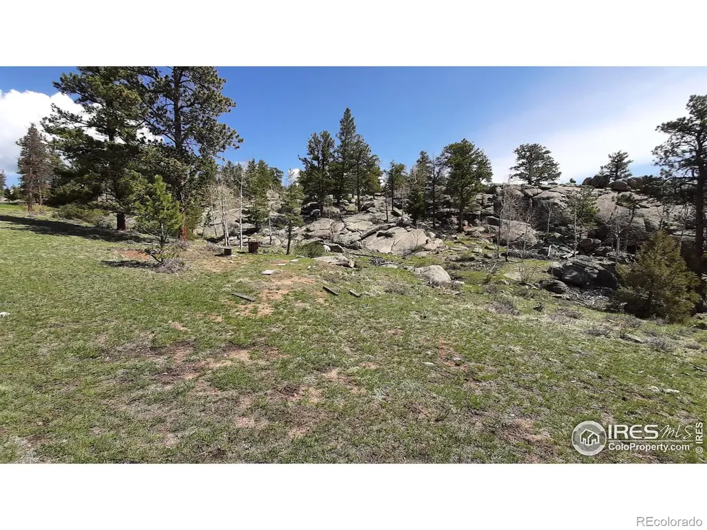 102 Mount Princeton Court Livermore CO 80536