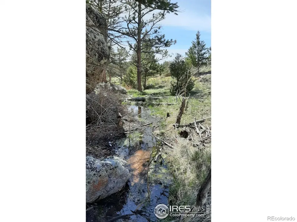 102 Mount Princeton Court Livermore CO 80536