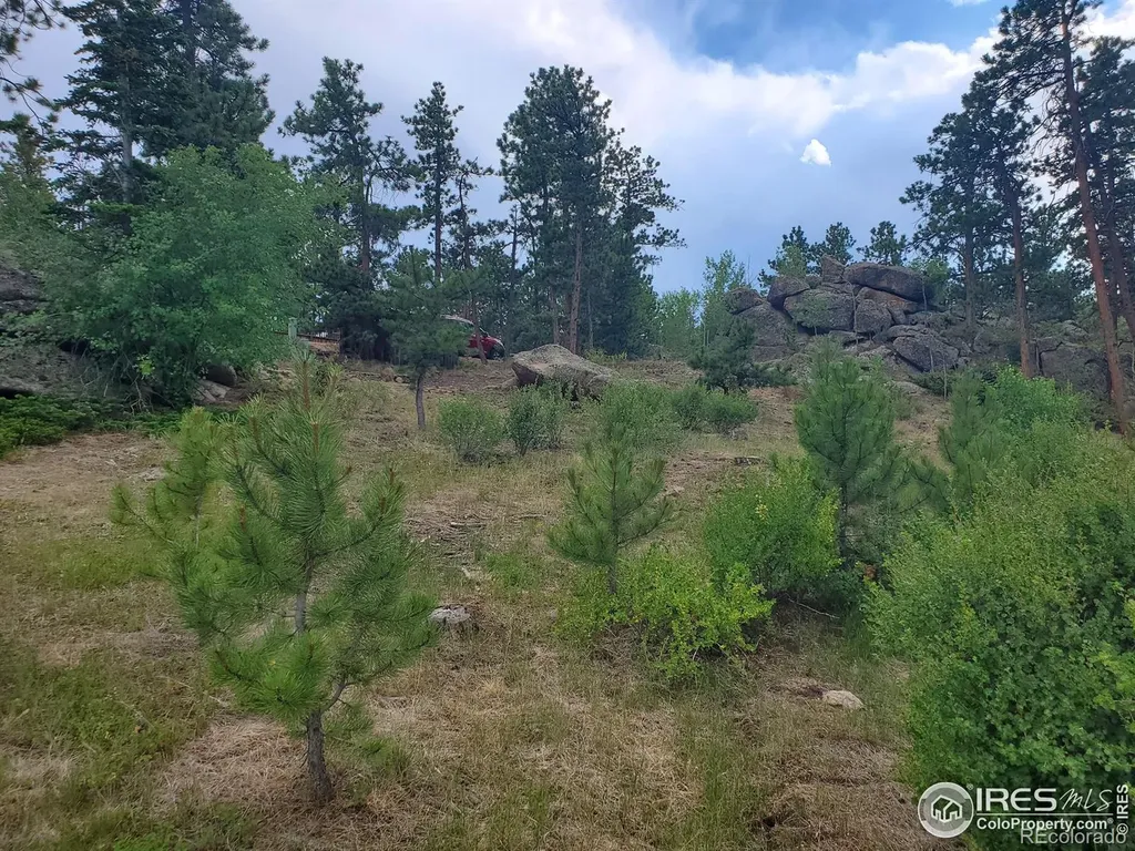 1532 Fox Acres Drive W Red Feather Lakes CO 80545