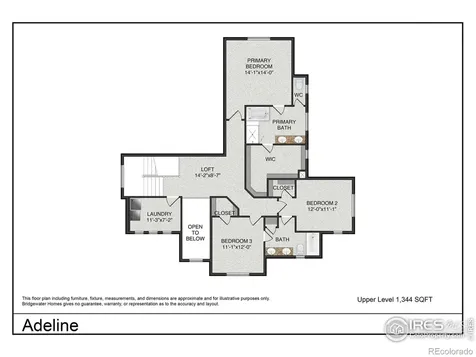 24146 E 35th Drive Aurora CO 80019
