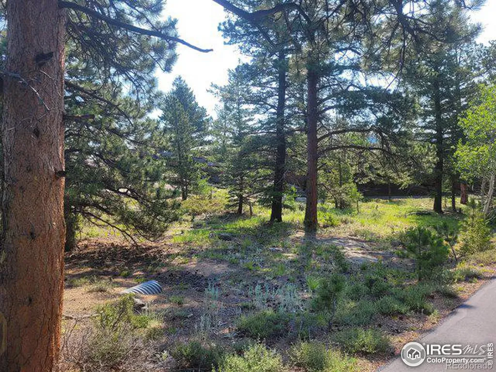 1 Fox Acres Drive W Red Feather Lakes CO 80545