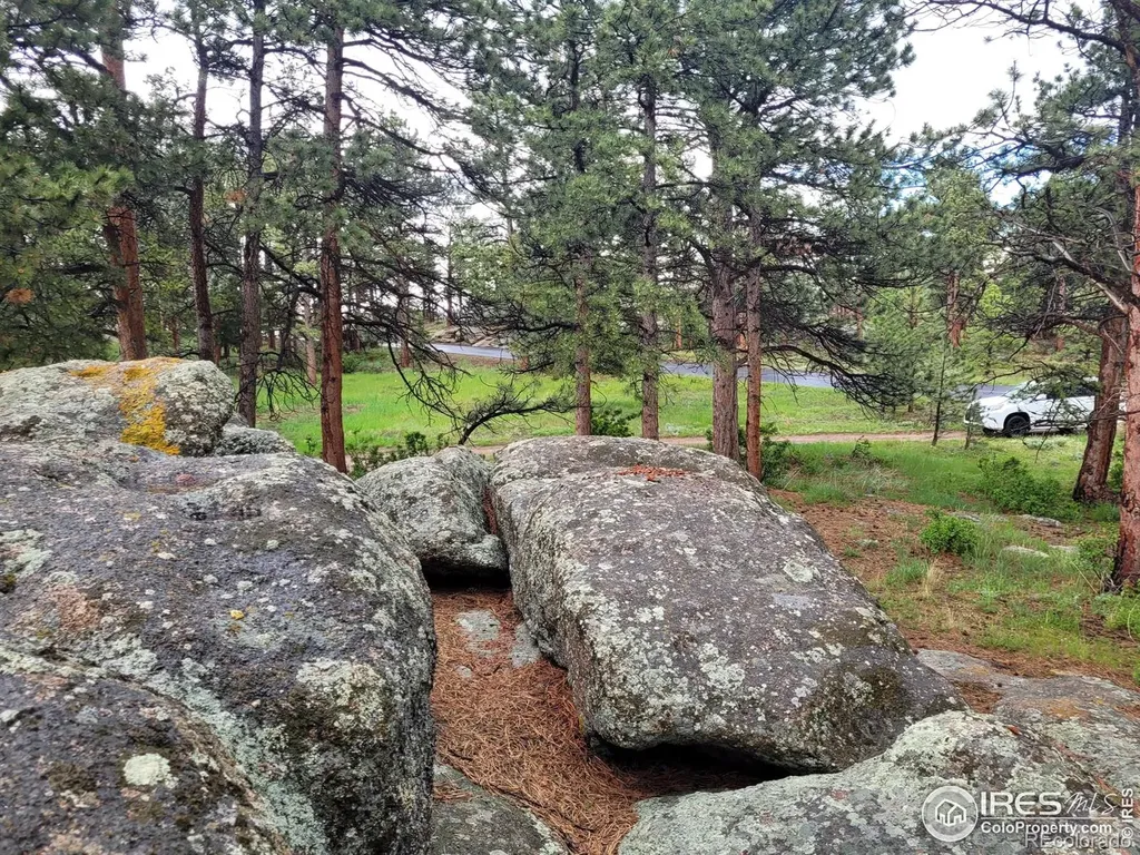 410 Fox Acres Drive W Red Feather Lakes CO 80545