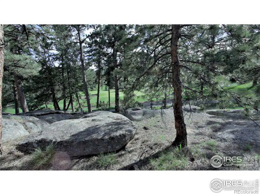530 Fox Acres Drive W Red Feather Lakes CO 80545
