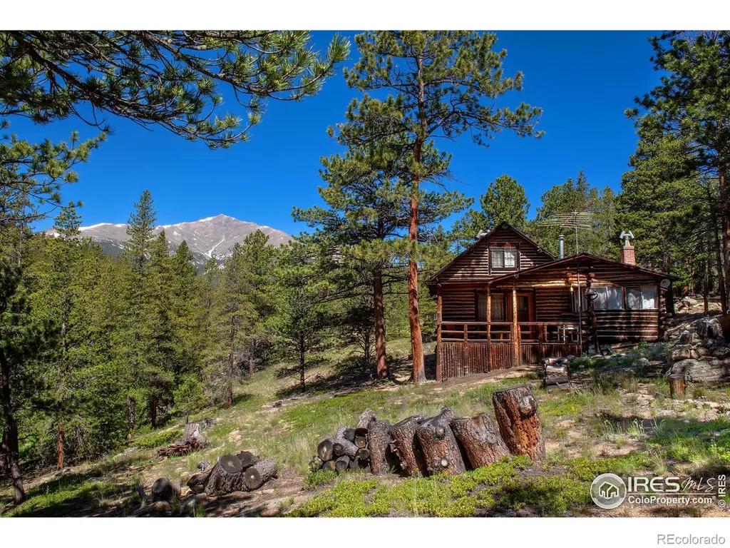 1217 Big Owl Road Allenspark CO 80510