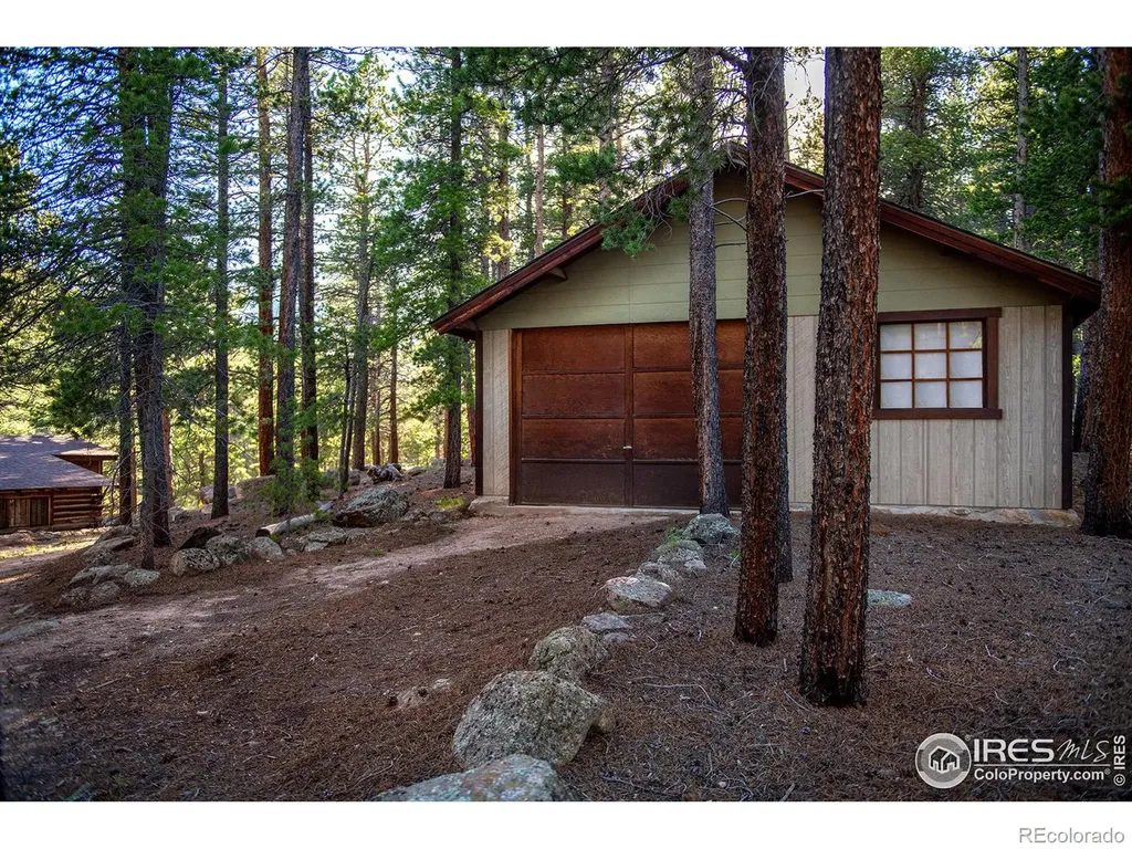 1217 Big Owl Road Allenspark CO 80510