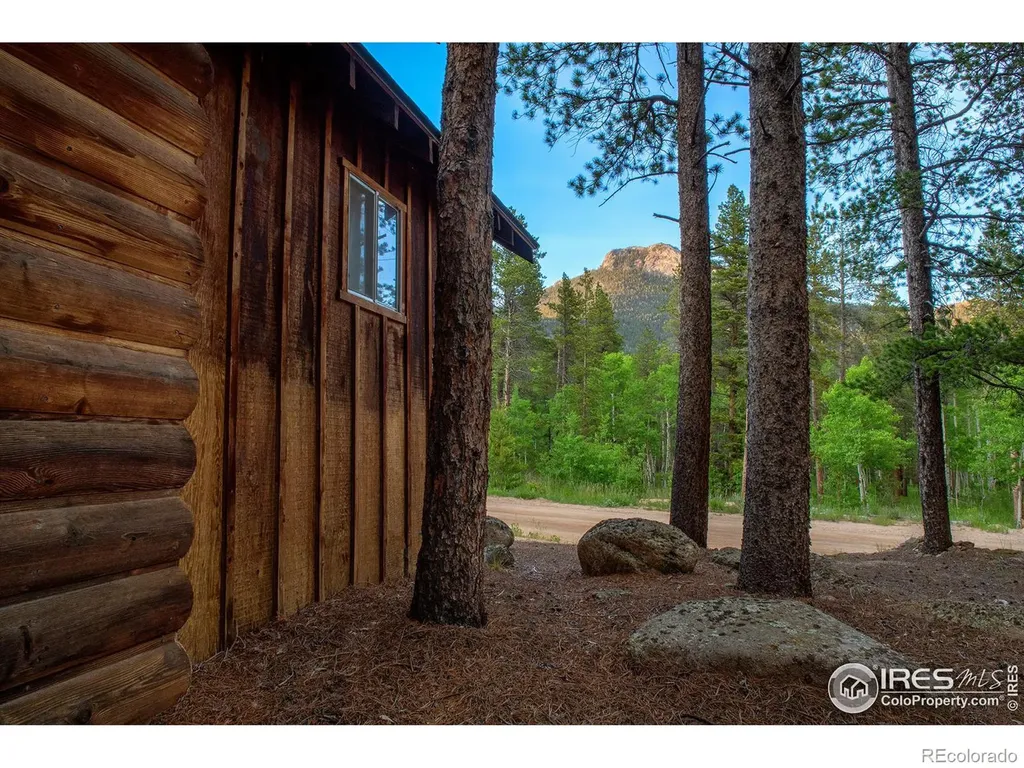 1217 Big Owl Road Allenspark CO 80510