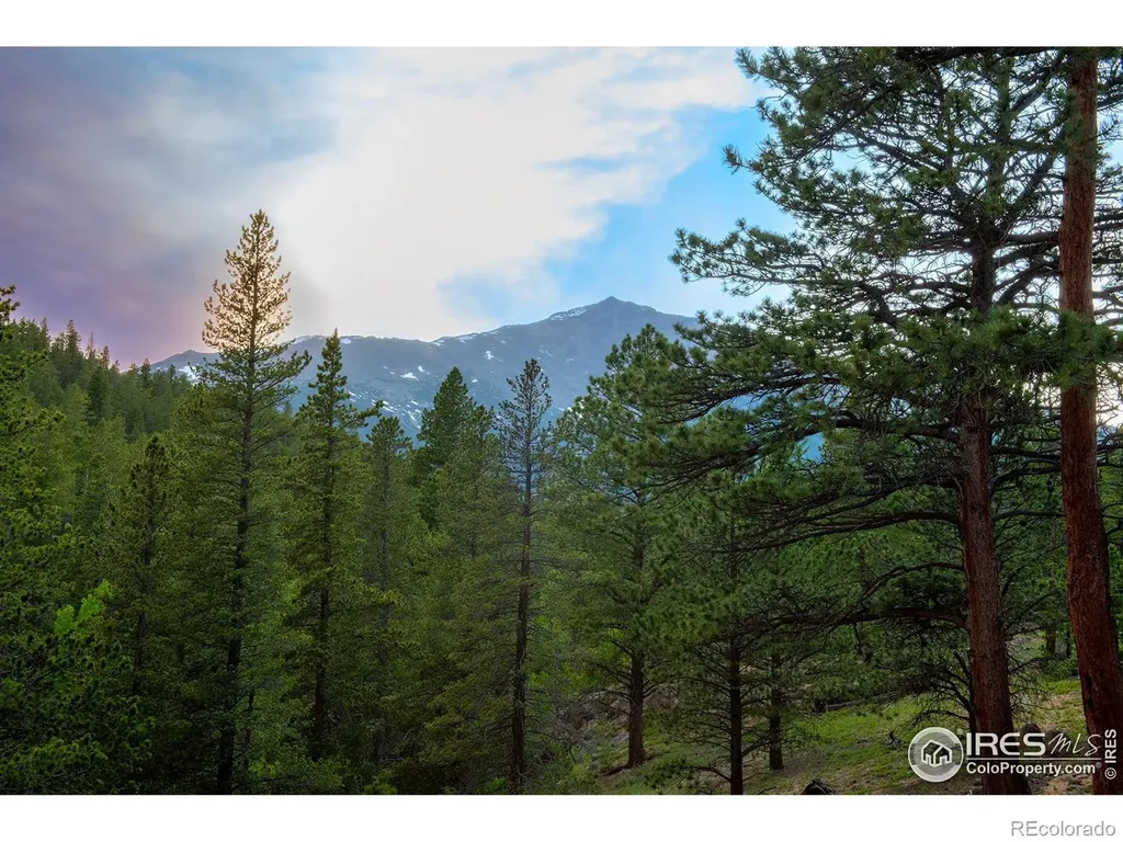 1217 Big Owl Road Allenspark CO 80510