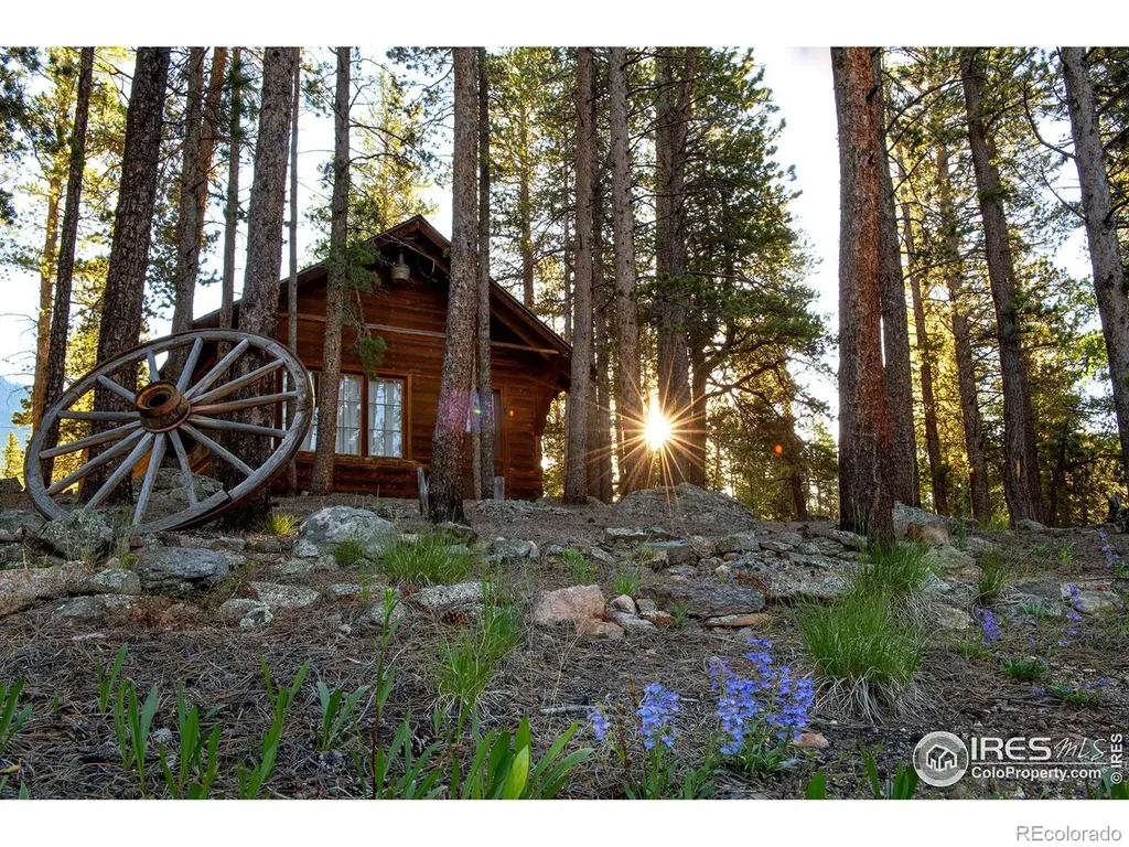 1217 Big Owl Road Allenspark CO 80510