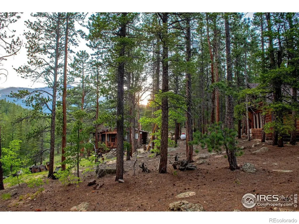 1217 Big Owl Road Allenspark CO 80510