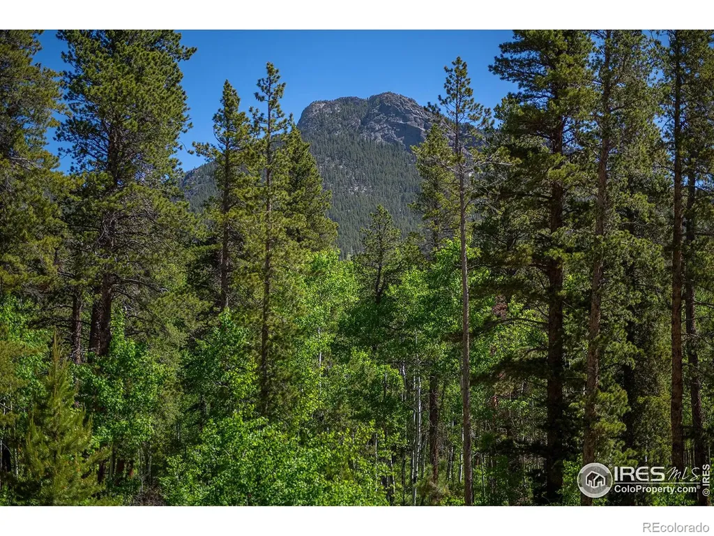 1217 Big Owl Road Allenspark CO 80510