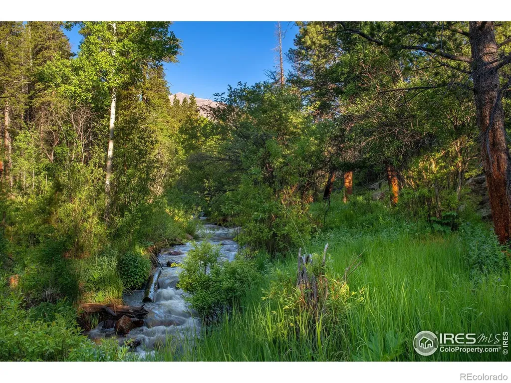 1217 Big Owl Road Allenspark CO 80510