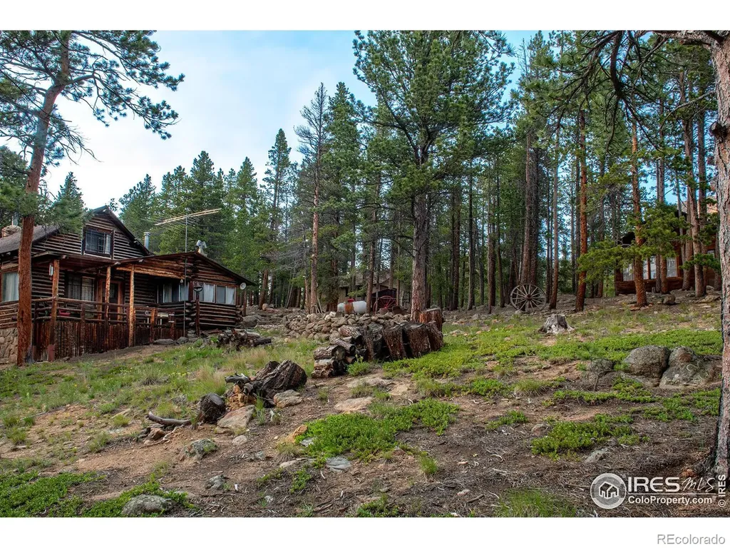 1217 Big Owl Road Allenspark CO 80510