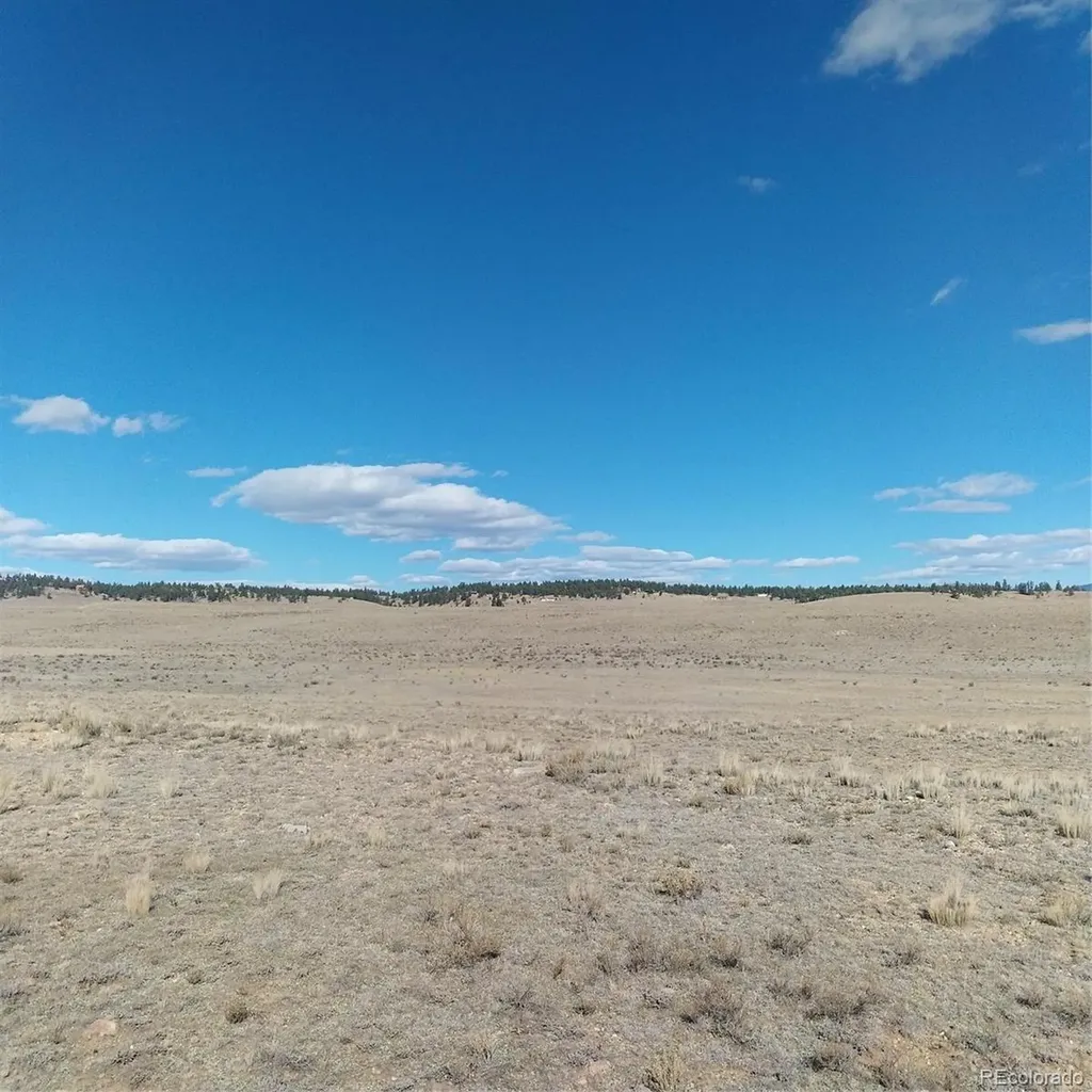 3552 Ute Trace Hartsel CO 80449