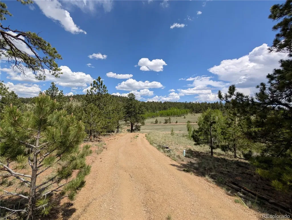2117 Badger Creek Road Hartsel CO 80449